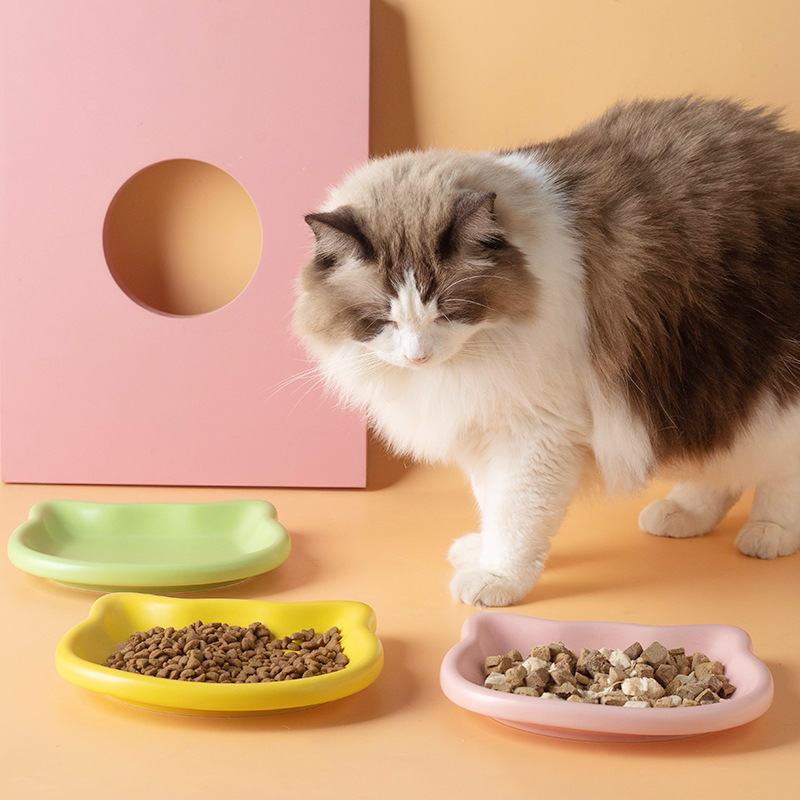 Cute Cat Shape Pet Snack Plate - Food Snacks Options 评论和价格