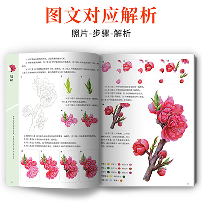A course of practical color le - Food Y Snacks Coloring Book 评论和价格