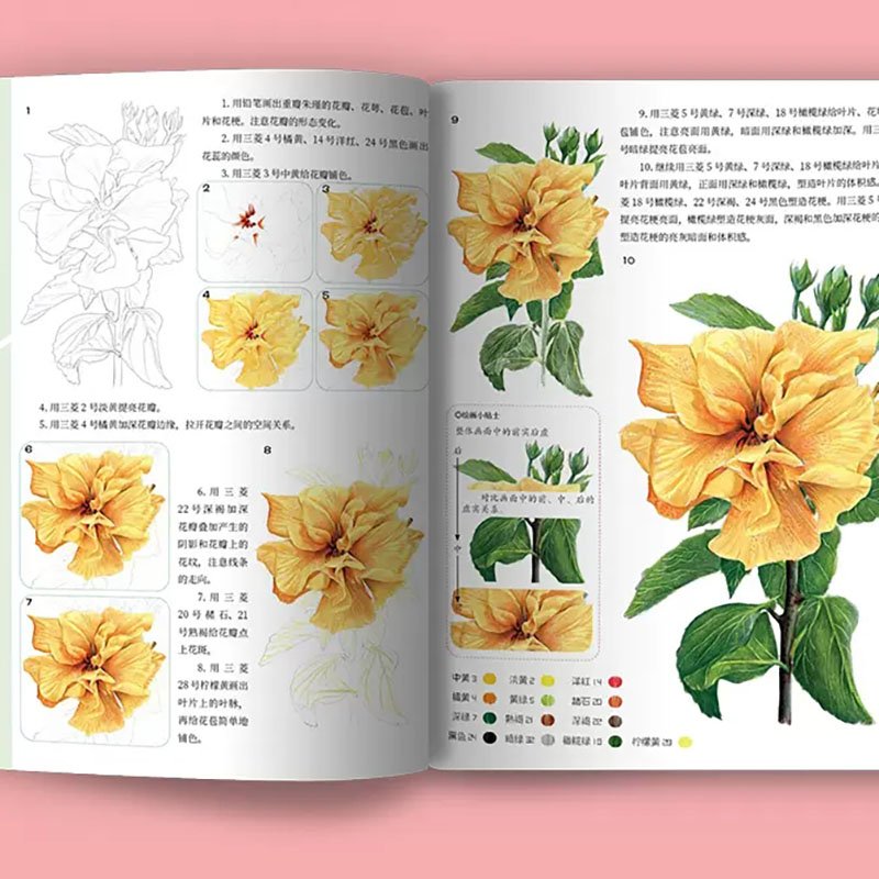 A course of practical color le - Food Y Snacks Coloring Book 评论和价格