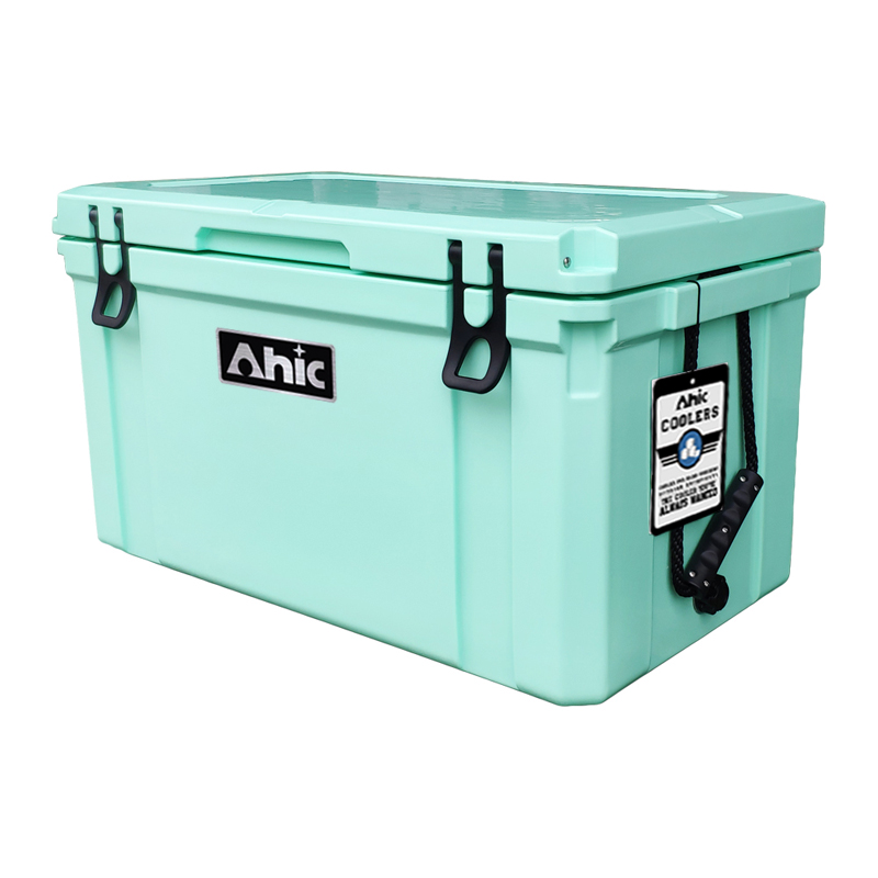 75L Insulated PE Ice Cooler Bo - Food & Snacks Colouring Book 评论和价格