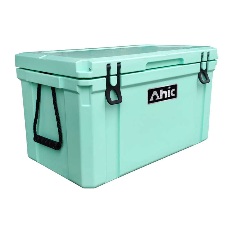 75L Insulated PE Ice Cooler Bo - Food & Snacks Colouring Book 评论和价格