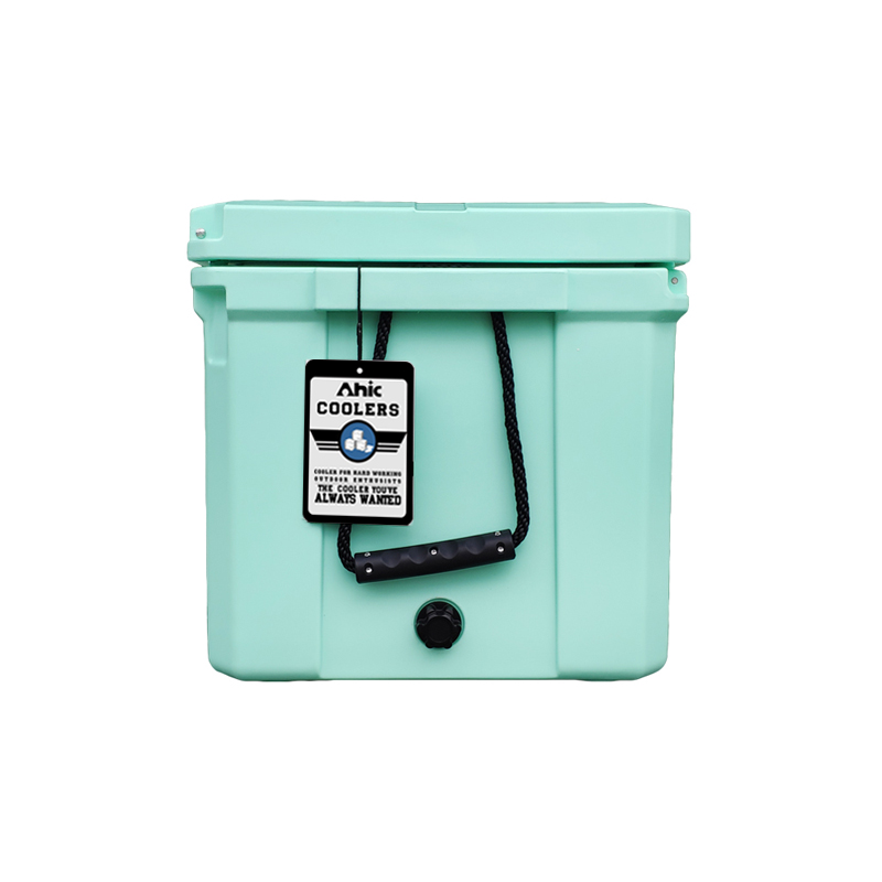 75L Insulated PE Ice Cooler Bo - Food & Snacks Colouring Book 评论和价格